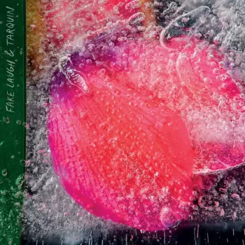 Fake Laugh: Fake Laugh & Tarquin