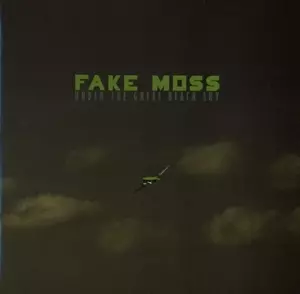Fake Moss: Under The Great Black Sky
