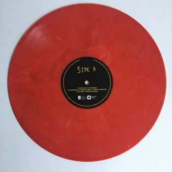 LP Fake Shark: Afterglow