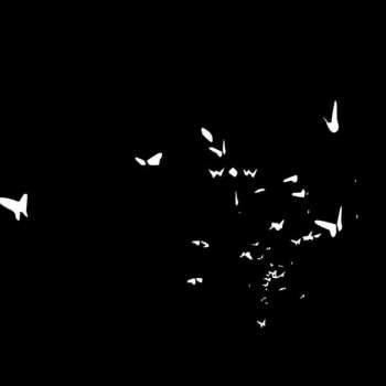 Album Wow: Falene