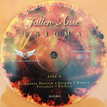 LP Fallen Arise: Enigma LTD | CLR