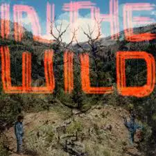 FaltyDL: In The Wild