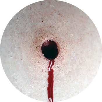 Album Fango: Assassin