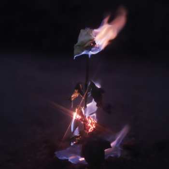 Album Farwarmth: Momentary Glow