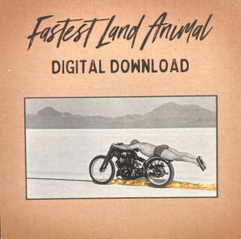 LP Fastest Land Animal: Fastest Land Animal