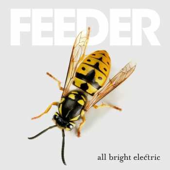 CD Feeder: All Bright Electric DLX | LTD