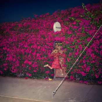 Album Feist: Pleasure