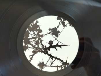 LP Felix Laband: Dark Days Exit LTD