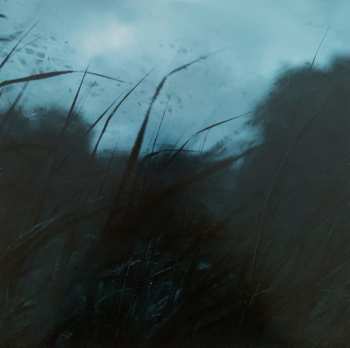 2LP Fen: Epoch LTD