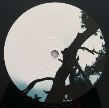 2LP Fen: Epoch LTD