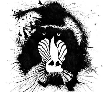 Album Feral Ohms: Feral Ωhms
