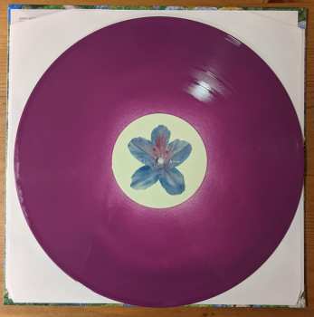 LP Fiddlehead: Between The Richness LTD | CLR