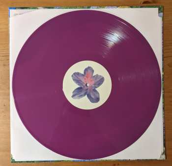 LP Fiddlehead: Between The Richness LTD | CLR