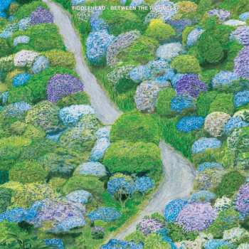 LP Fiddlehead: Between the Richness