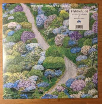 LP Fiddlehead: Between The Richness LTD | CLR