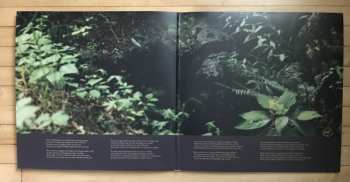 2LP Field Works: Ultrasonic