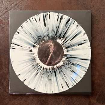 LP Final Light: Final Light CLR | LTD
