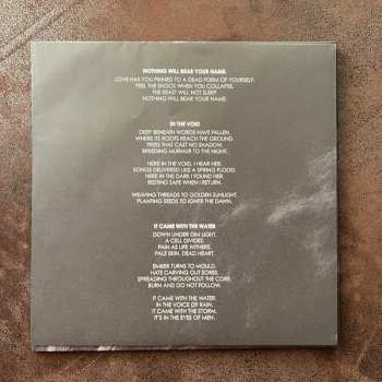 LP Final Light: Final Light CLR | LTD