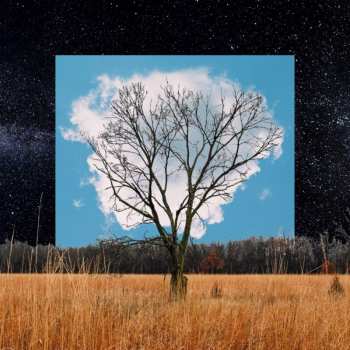 CD Fink: Bloom Innocent