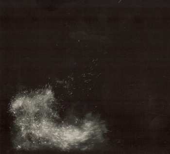 CD Fink: Horizontalism
