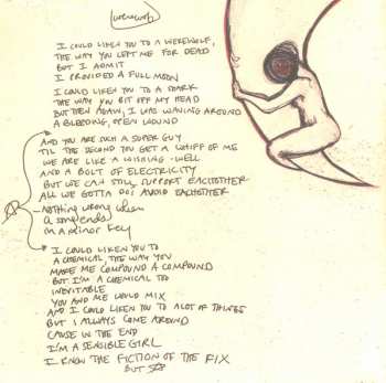 CD Fiona Apple: The Idler Wheel Is Wiser Than The Driver Of The Screw And Whipping Cords Will Serve You More Than Ropes Will Ever Do