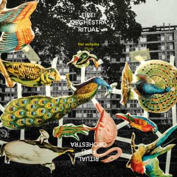 Album Fire! Orchestra: Ritual