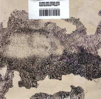 CD Fis: The Blue Quicksand Is Going Now