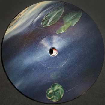 2LP FJAAK: Havel
