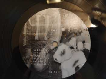 LP FJØRT: Couleur