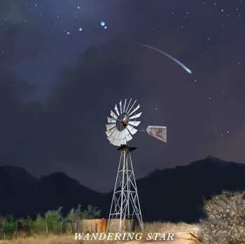 CD Flatland Cavalry: Wandering Star