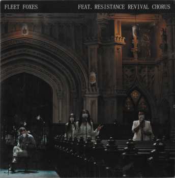 Album Fleet Foxes: Can I Believe You / Wading In Waist-High Water