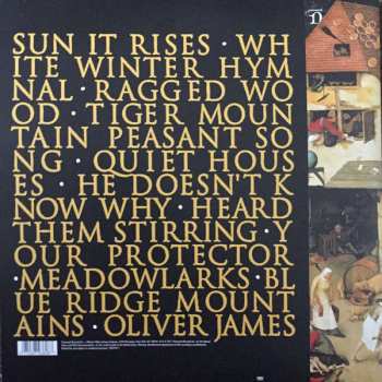 2LP Fleet Foxes: Fleet Foxes CLR