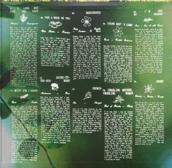 2LP Fleet Foxes: Shore