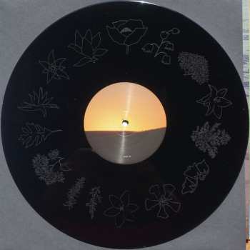 2LP Fleet Foxes: Shore