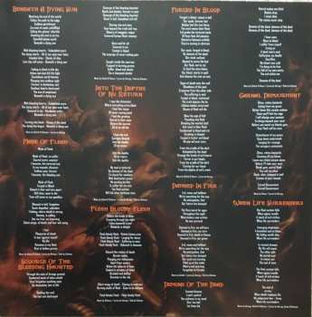 LP Fleshcrawl: Made Of Flesh CLR | LTD