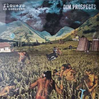 LP Flowers In Concrete: Split