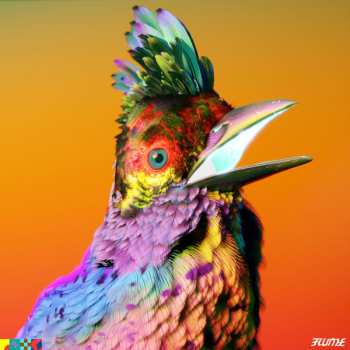 Album Flume: Palaces