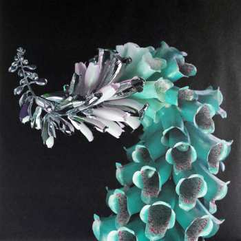 2LP Flume: Skin LTD | CLR