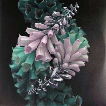 2LP Flume: Skin LTD | CLR