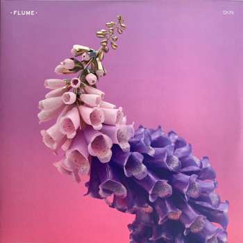 2LP Flume: Skin CLR | LTD