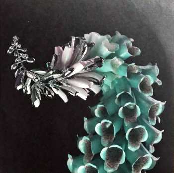 2LP Flume: Skin CLR | LTD