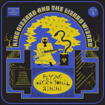 King Gizzard And The Lizard Wizard: Flying Microtonal Banana