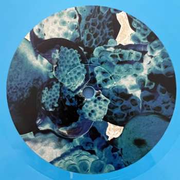 LP Foals: Total Life Forever CLR