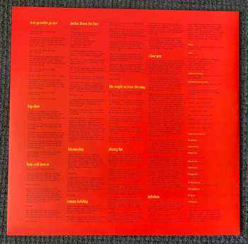LP Fontaines D.C.: Skinty Fia