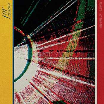 CD For Against: Shelf Life