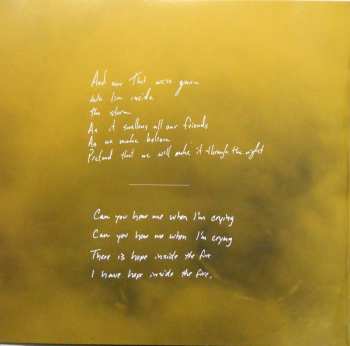 LP Foreign Fields: Take Cover