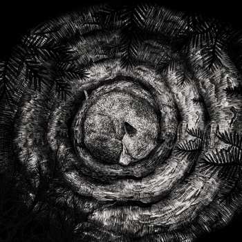 Album Forhist: Forhist