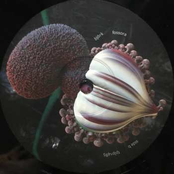 2LP Björk: Fossora