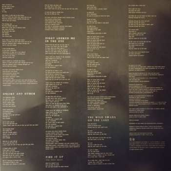 LP Foy Vance: The Wild Swan