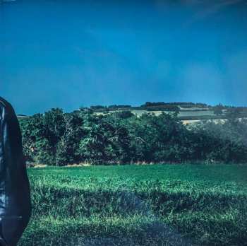 2LP Francis Cabrel: À L'aube Revenant